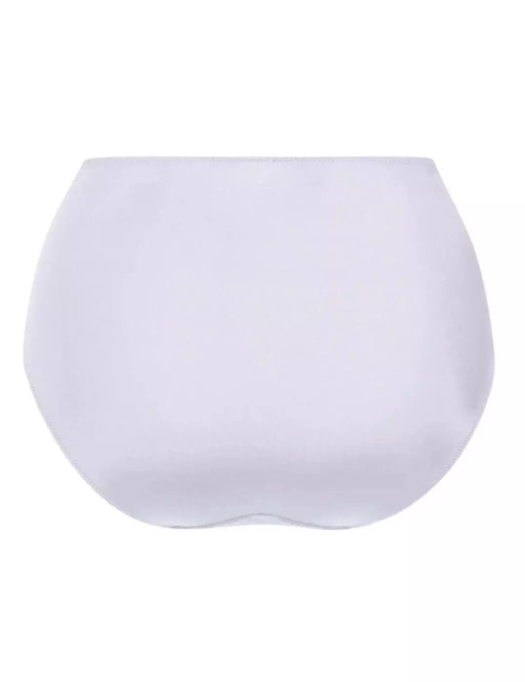 Anita Sophia High Waist Briefs White Back view